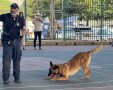 משטרת ישראל בביה"ס אילן רמון גן יבנה