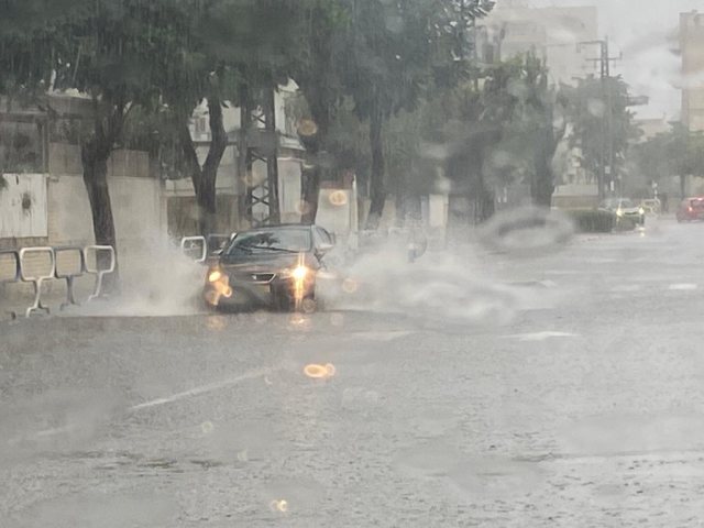 צילום: עופר אשטוקר
