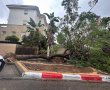 סערה בפתח: רוחות של עד 100 קמ"ש וחשש לנזקים ברחבי הארץ