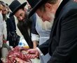 מנקרים עם הסמכה: קהיליית המנקרים זכתה להשתלמות מיוחדת