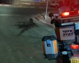 דוברות איחוד הצלה