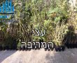 "הבחירות בגן יבנה עוד לא נגמרו וכתוצאה מכך הילדים מפסידים"