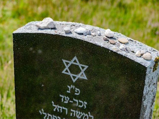 קרדיט-Photo by Julia Taubitz on Unsplash