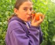 ט"ו בשבט בערבה התיכונה- חגיגת טבע מדברית