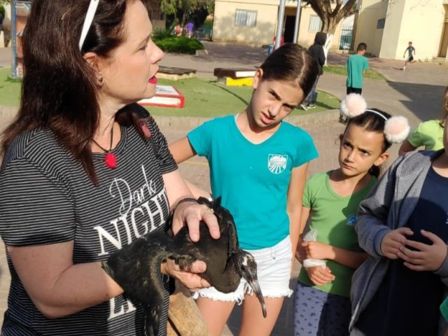 דוברות מועצה מקומית גן יבנה