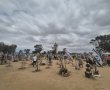 1,000 ימים לטבח 7 באוקטובר: מועצת אוקטובר מציינים  היום את יום הזיכרון האזרחי ומחאה ארצית