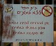 במוסדות החינוך בגן יבנה נערכים להתמודדות עם אלרגיה למזון 