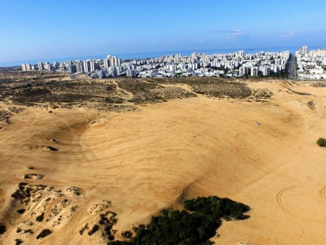הדיונה הגדולה וחולות אשדוד. צילום: דב גרינבלט, החברה להגנת הטבע