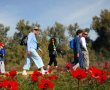 דרום אדום- צעדת הכלניות של קק"ל לזכר שושנה דמארי