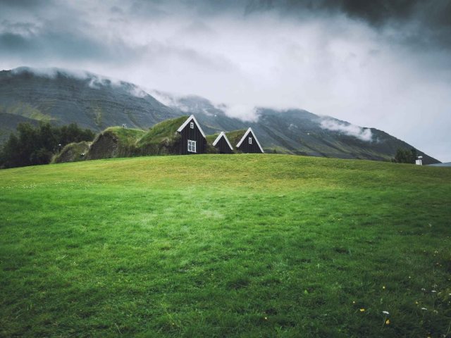 freepik