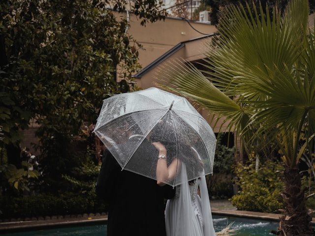 קרדיט-Photo by Kiarash Mansouri on Unsplash