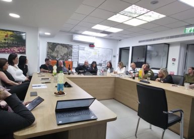 מועצה מקומית גן יבנה