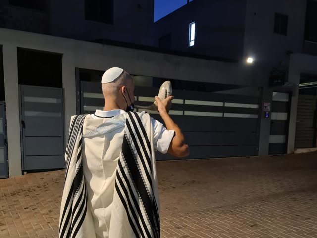עומר דוד 