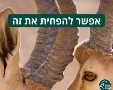 רשות הטבע והגנים