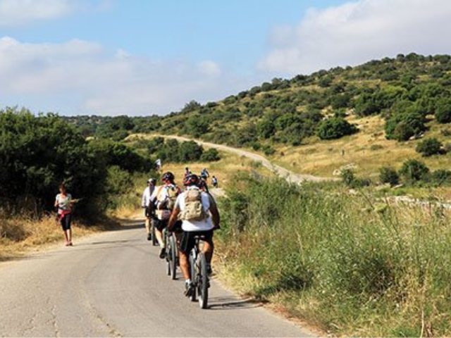 רוכבי אופניים בפארק עדולם-צרפת. צילום: ארכיון הצילומים של קק"ל