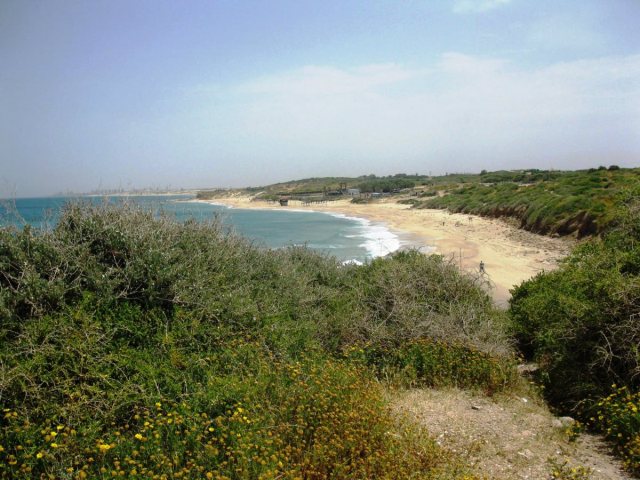 צילום אייל מטרני