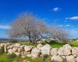 חורבת לויה - צילום אלדה נתנאל