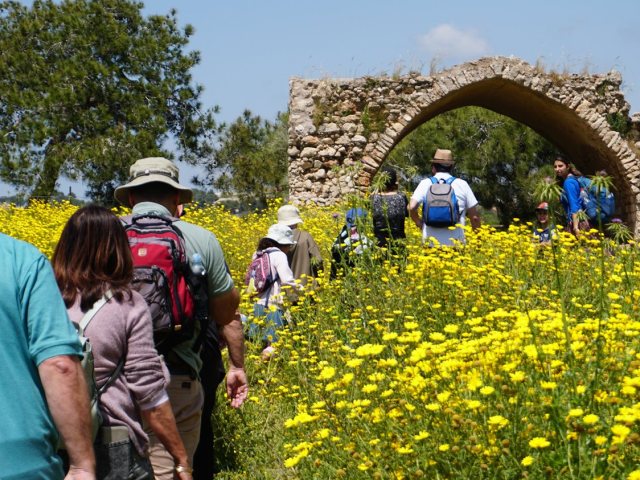 צילום אלון שניידר
