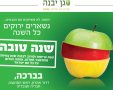 דוברות מועצה מקומית גן יבנה