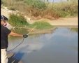 דוברות מועצה מקומית גן יבנה