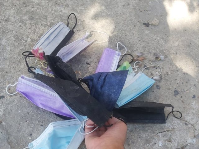 עילי עוזר 